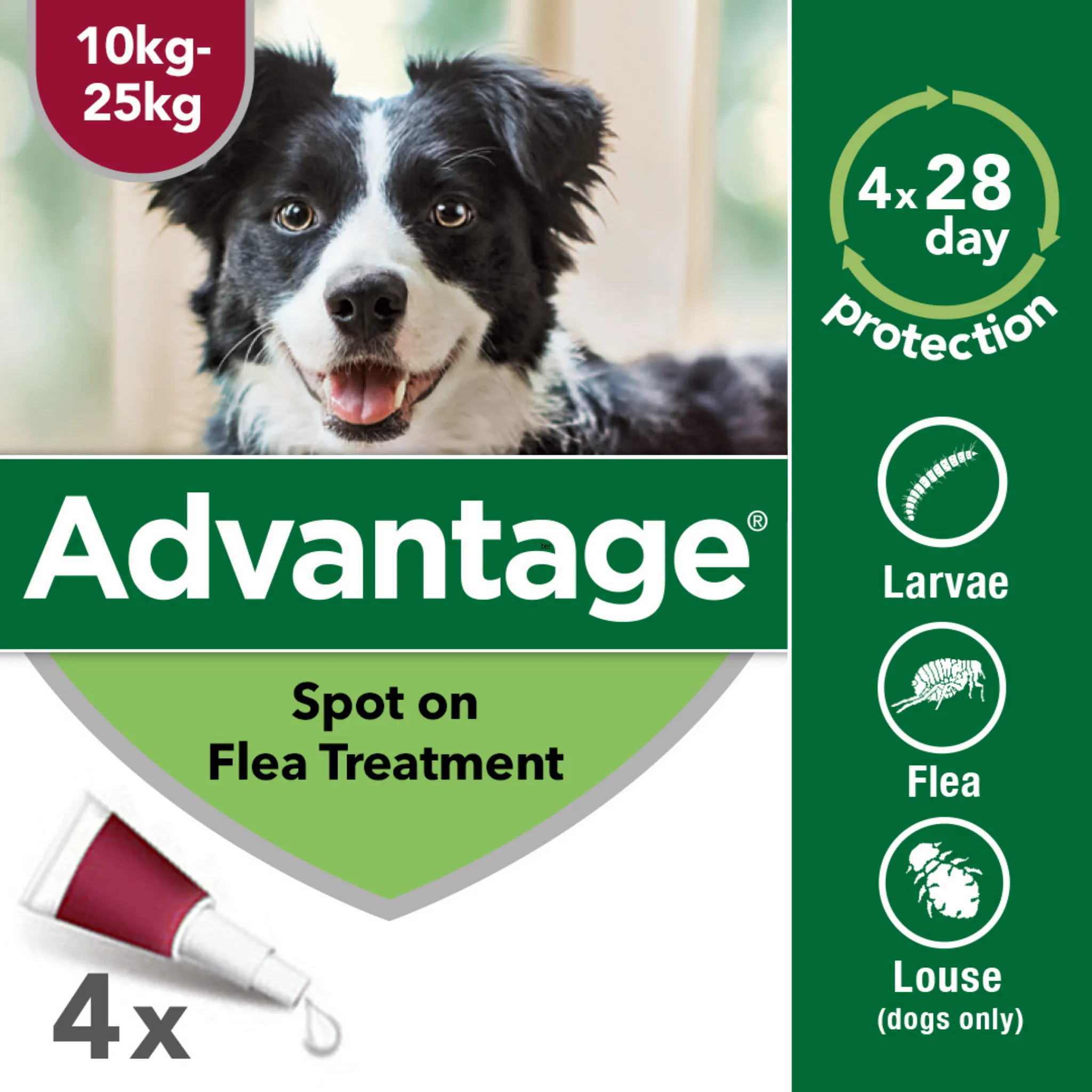 Advantage 250, 4 Week Spot-On Flea Treatment  For Medium Dogs - 10-25kg - 4 Pipettes