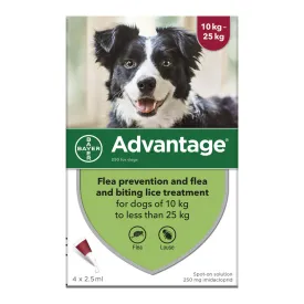 Advantage 250, 4 Week Spot-On Flea Treatment  For Medium Dogs - 10-25kg - 4 Pipettes