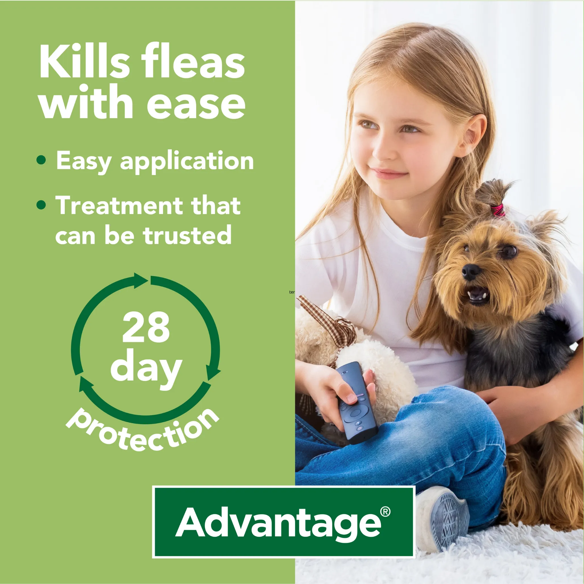 Advantage 250, 4 Week Spot-On Flea Treatment  For Medium Dogs - 10-25kg - 4 Pipettes
