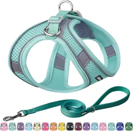 AIITLE Comfortable Dog Harness and Leash Set for Walking - Spring Step in Vest Harness,Reflective Bands, Adjustable No Pull Puppy Essentials, for Small Dogs and House Cats Pure Turquoise XS