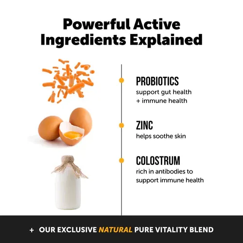 Allergy Support Supplement Chews - Peanut Butter