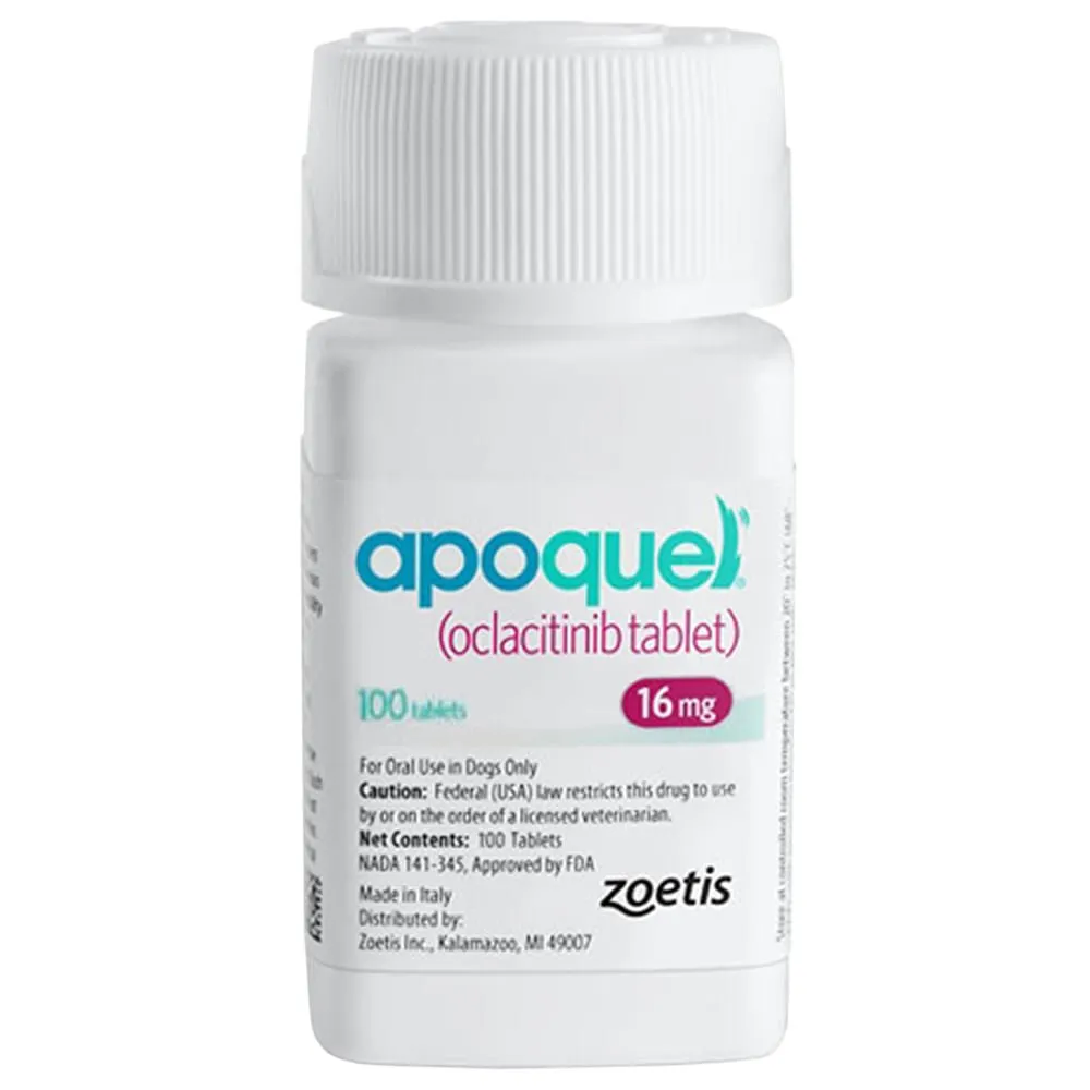 Apoquel for Dogs