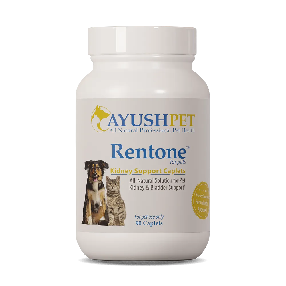 AYUSH RENTONE for urinary tract/kidney support - 90 caplets