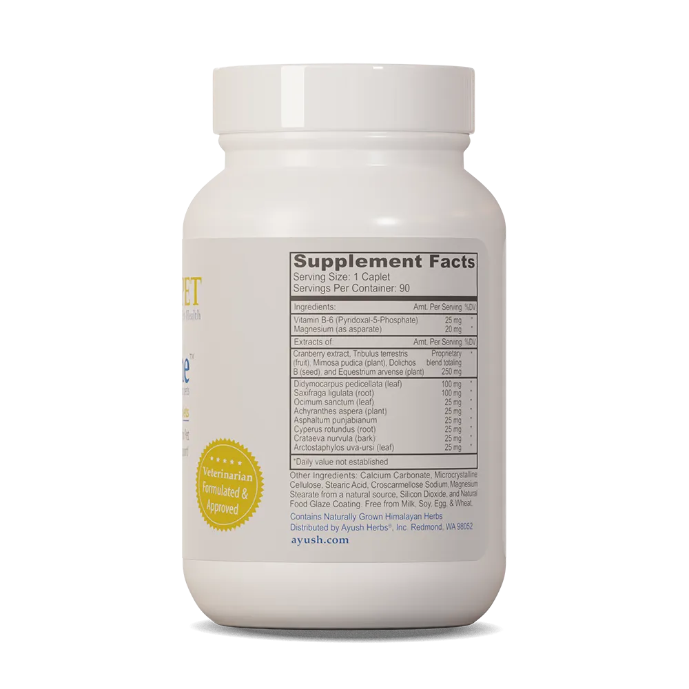 AYUSH RENTONE for urinary tract/kidney support - 90 caplets