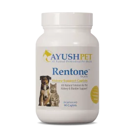 AYUSH RENTONE for urinary tract/kidney support - 90 caplets