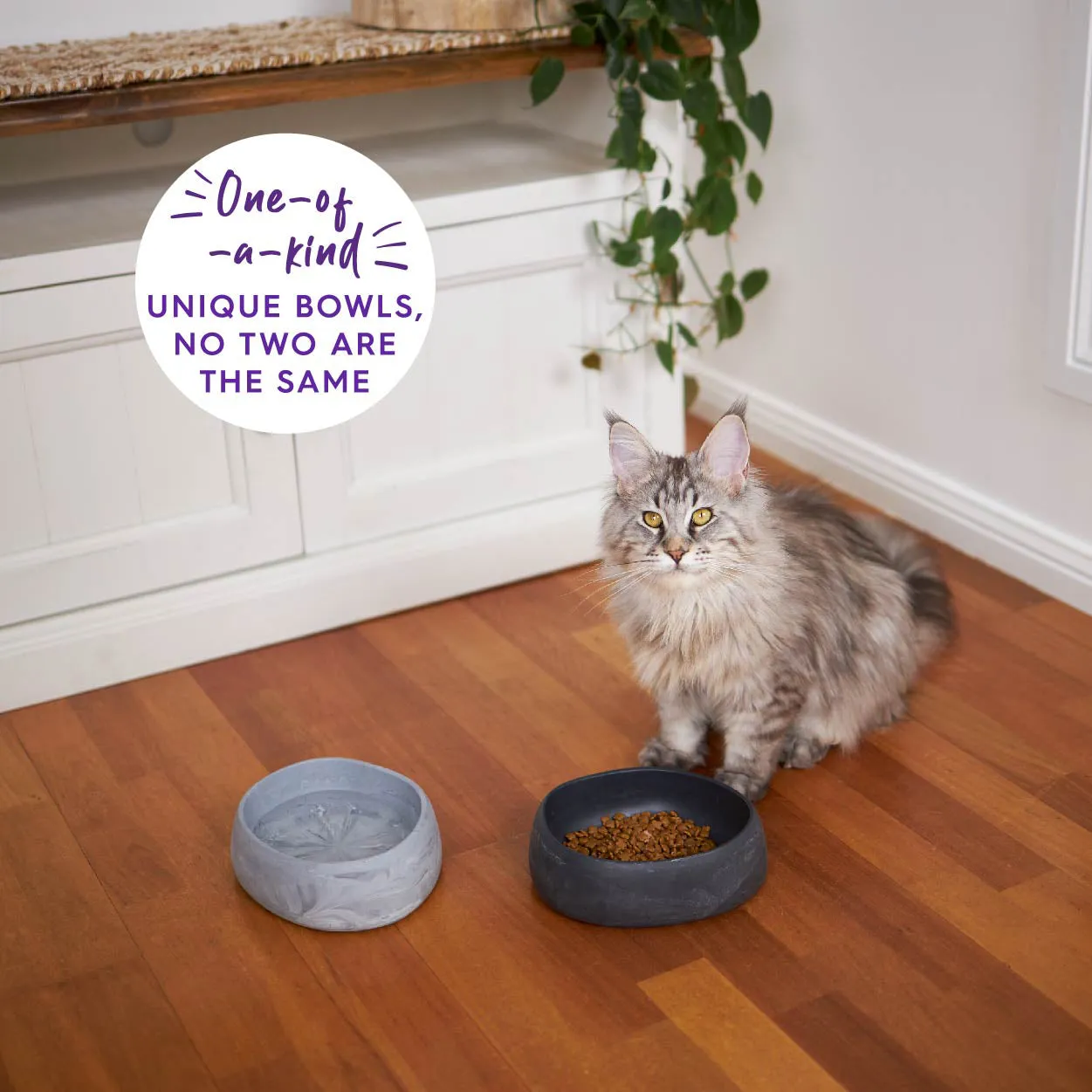 Better Bowl For Cats - Ash Grey