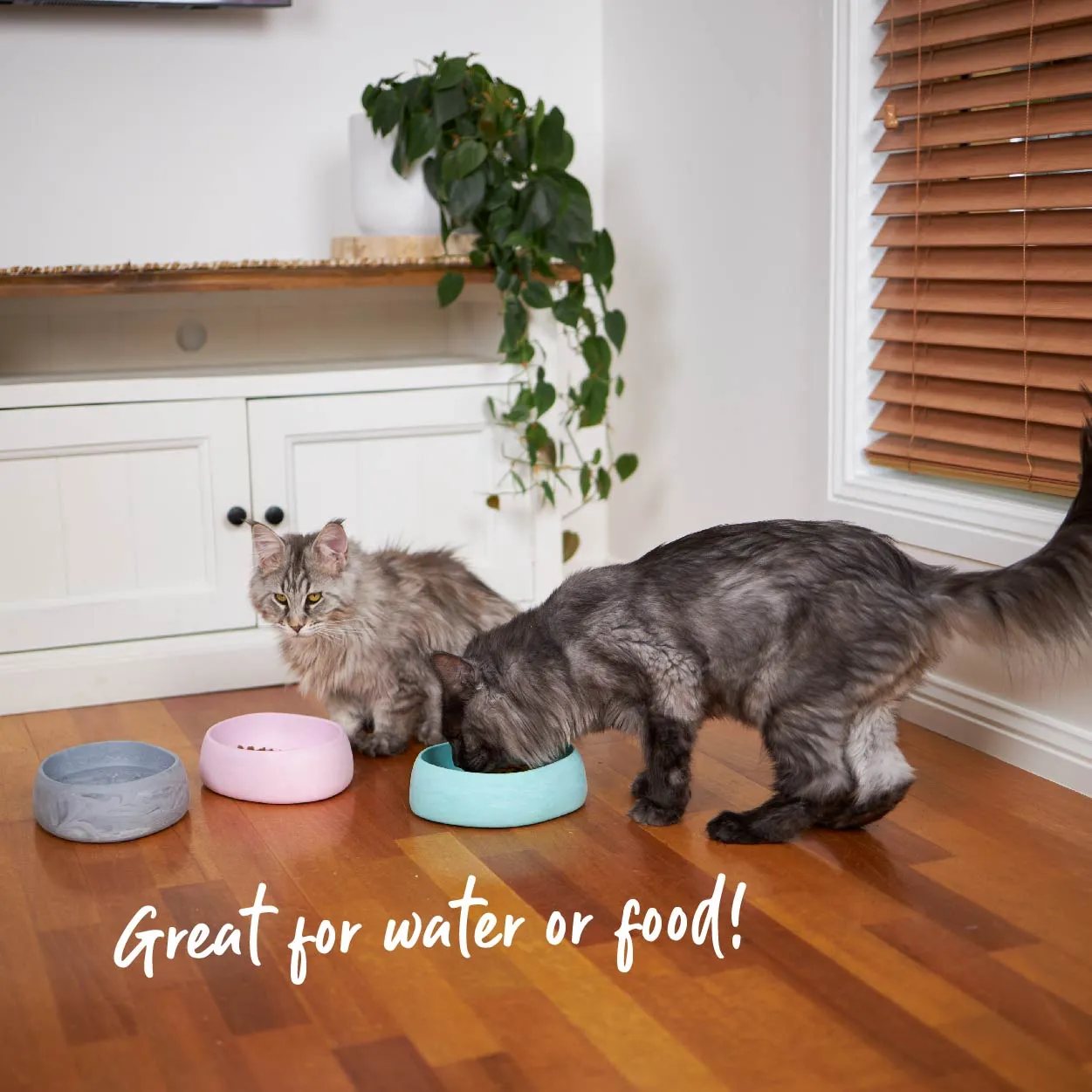 Better Bowl For Cats - Ash Grey