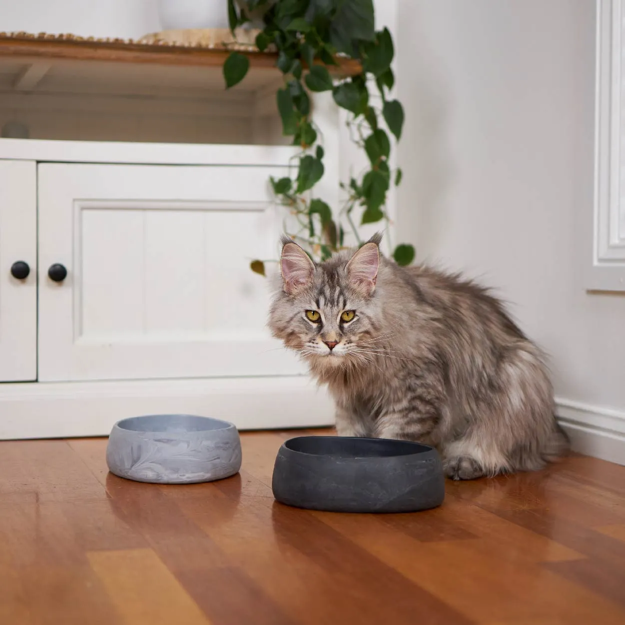 Better Bowl For Cats - Ash Grey