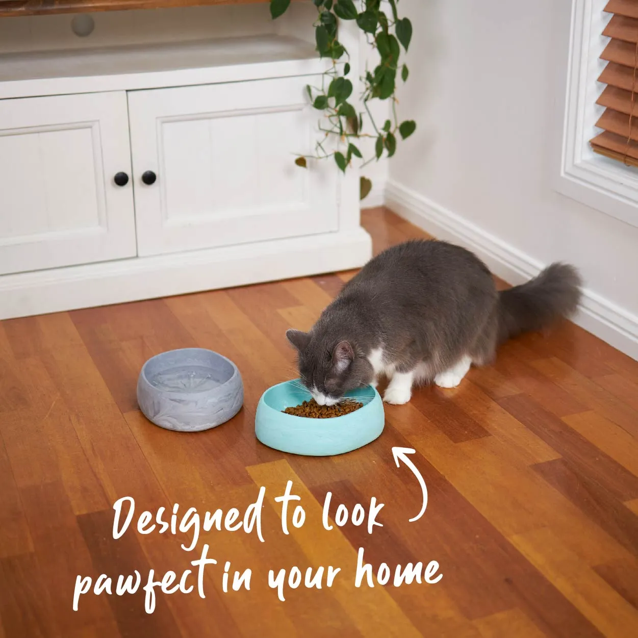 Better Bowl For Cats - Ash Grey