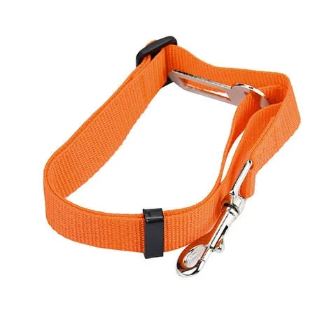 Car Seat Belt Collar Leash