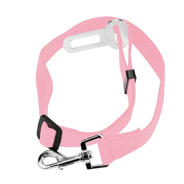 Car Seat Belt Collar Leash