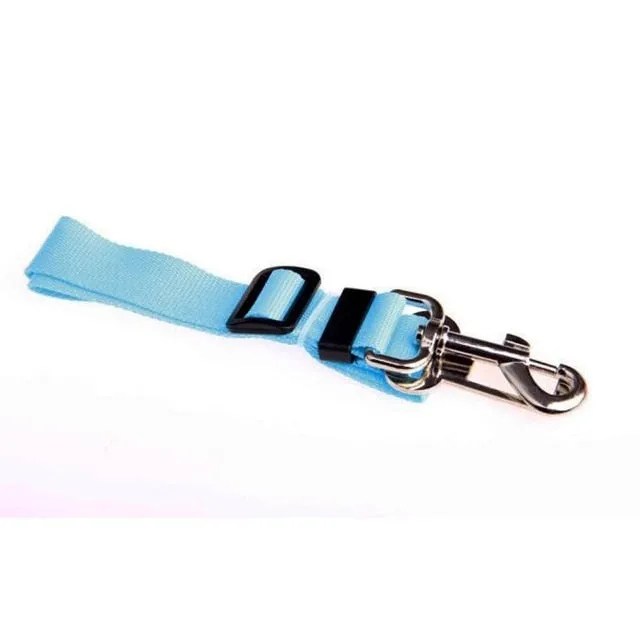 Car Seat Belt Collar Leash