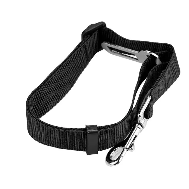 Car Seat Belt Collar Leash
