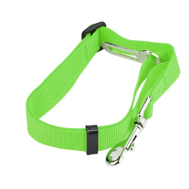 Car Seat Belt Collar Leash