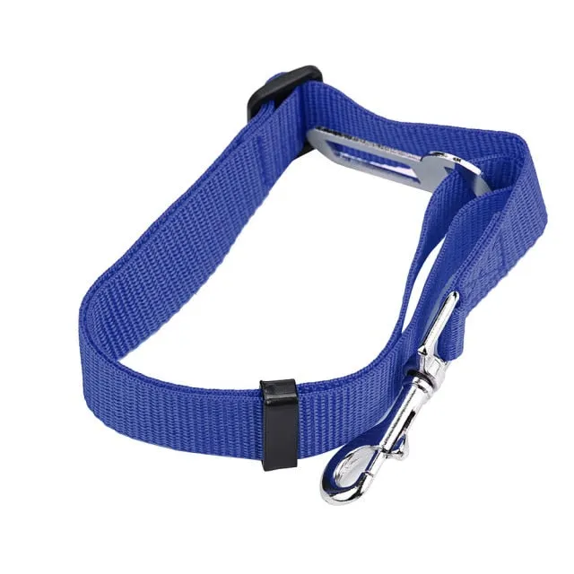 Car Seat Belt Collar Leash