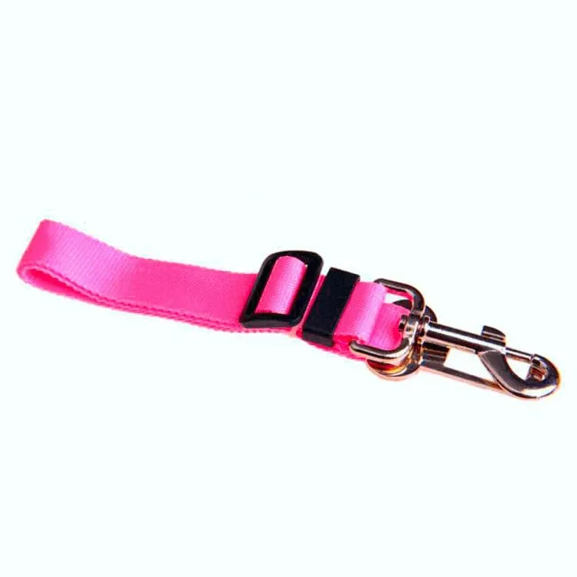 Car Seat Belt Collar Leash