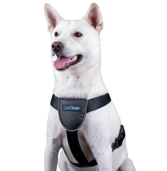 CarSafe Dog Travel Harness Small