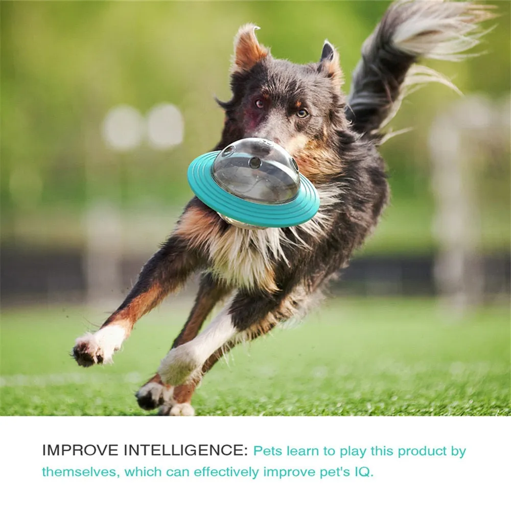 Center Dog Intelligence Toys Interactive Kong