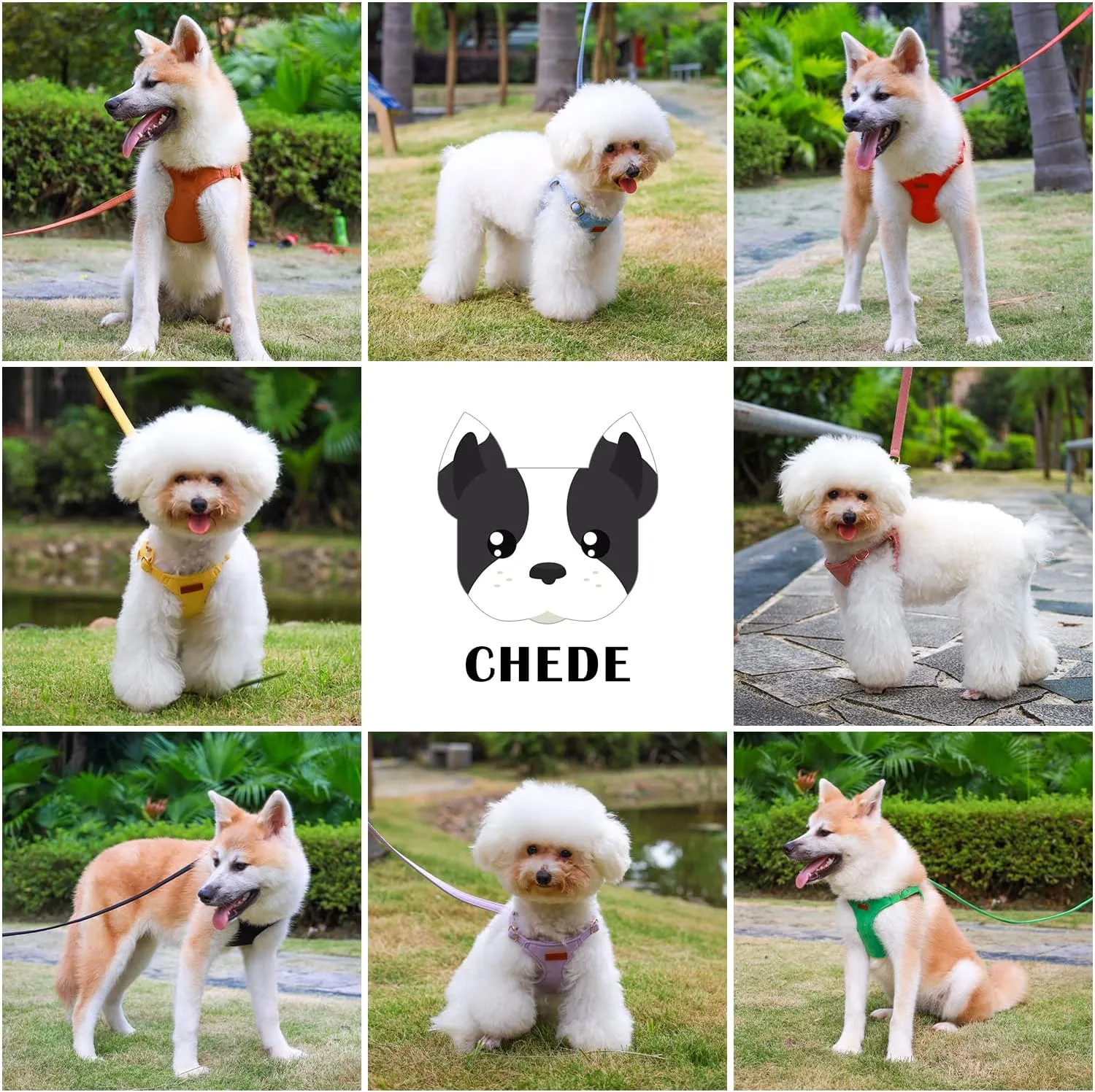 CHEDE No Pull Puppy Harness and Multifunction Dog Leash Set- 8 Colors Soft Adjustable No Choke Escape Proof Cute,Lightweight Pet Vest Harness for Small and Medium Dog (XXS, Red)