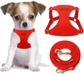 CHEDE No Pull Puppy Harness and Multifunction Dog Leash Set- 8 Colors Soft Adjustable No Choke Escape Proof Cute,Lightweight Pet Vest Harness for Small and Medium Dog (XXS, Red)