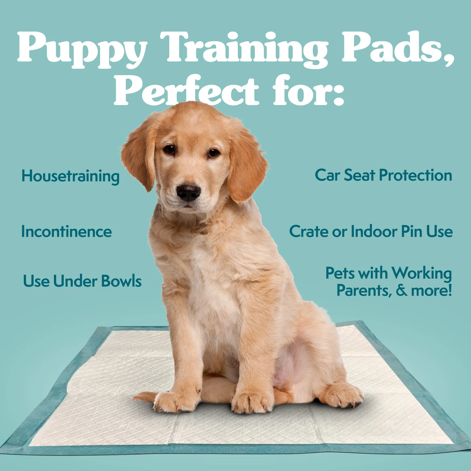 Disposable X-Large Training Dog Pads