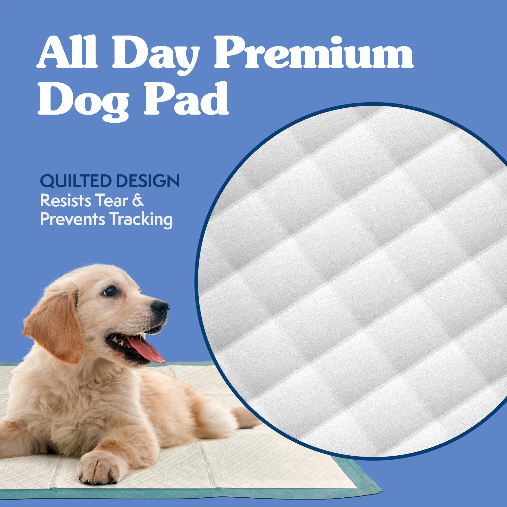 Disposable X-Large Training Dog Pads