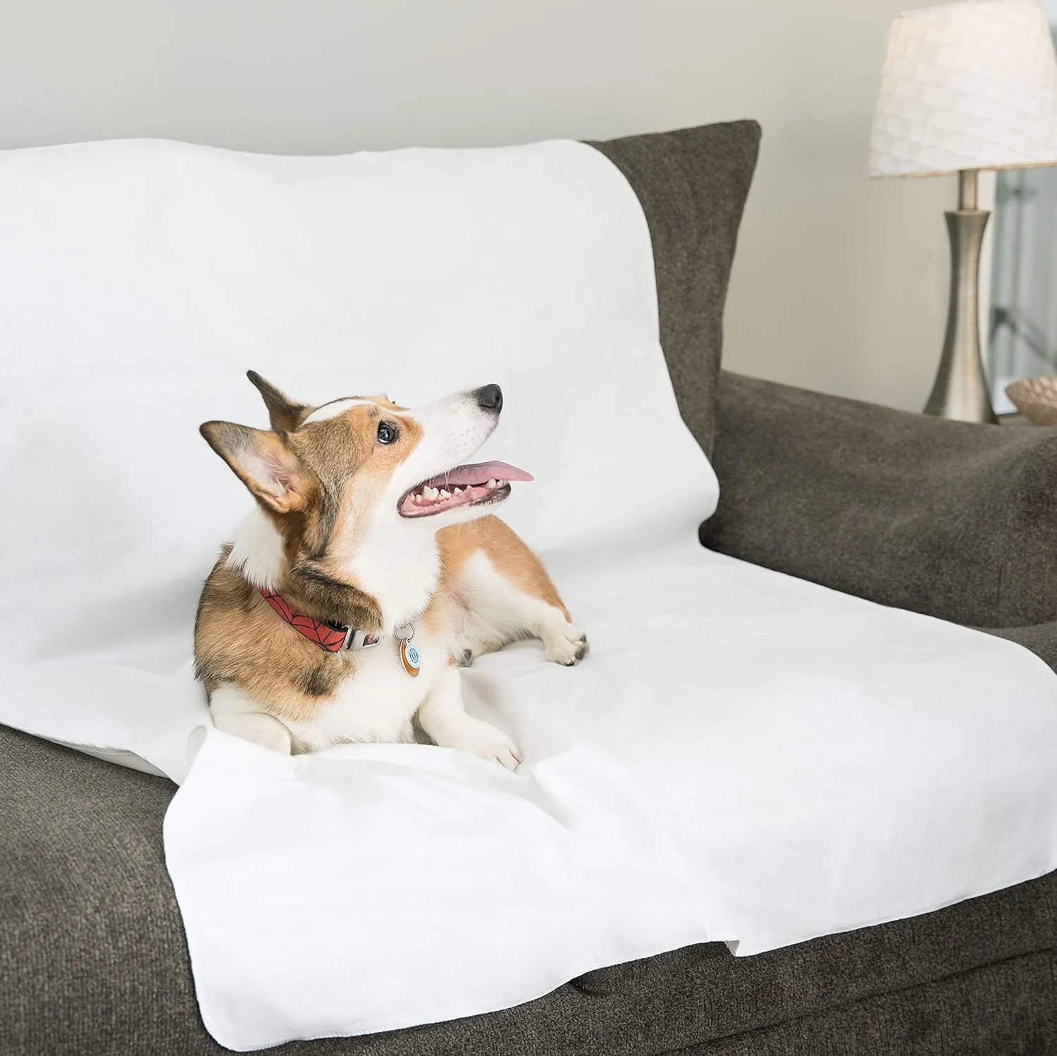 DMI Bed Pad Waterproof Sheet to be Used as a Mattress Protector, Pee Pad, Bed Liner, Incontinence Pad, Furniture Cover or Seat Protector, Not Reversible, Flat Fit, Machine Washable, 36 x 54
