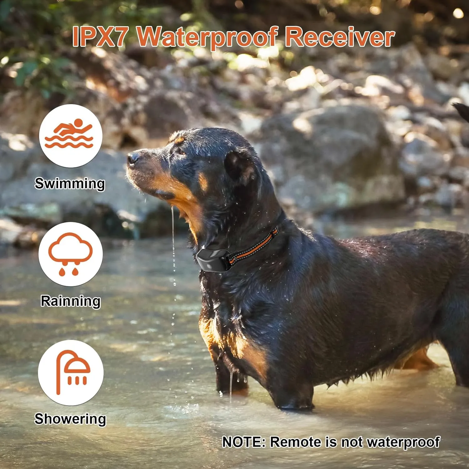 Dog Shock Collar with Remote Control Color Screen - 3300 FT Remote Range, Dog Training Collar with 3 Training Modes, 2 Rechargeable Waterproof E-Collar for Dogs 15-125LBS