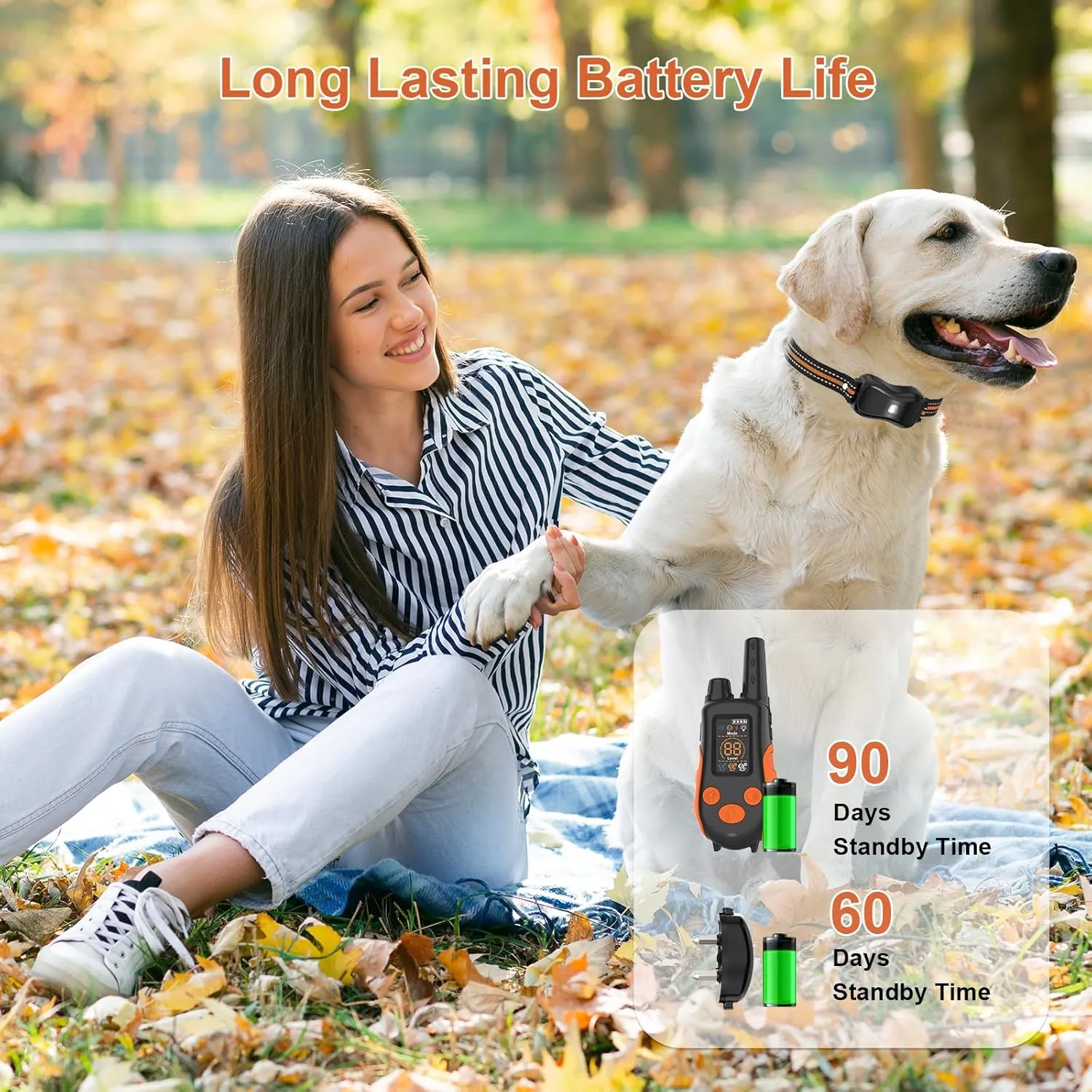 Dog Shock Collar with Remote Control Color Screen - 3300 FT Remote Range, Dog Training Collar with 3 Training Modes, 2 Rechargeable Waterproof E-Collar for Dogs 15-125LBS