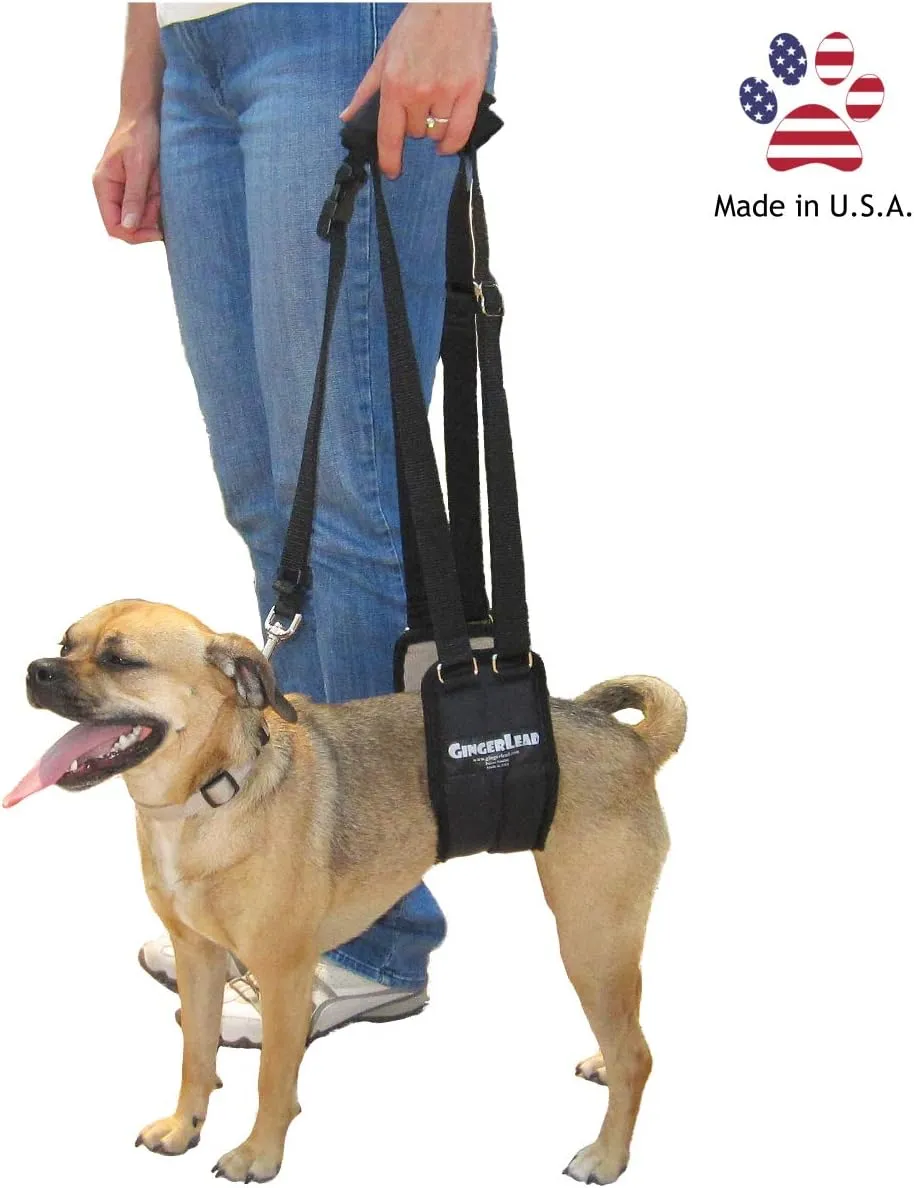 Dog Sling Support Harness, SM Female fits Small to Medium Size Pets 20-50 lbs. or Larger Barrel Chested Dogs Like Boxers or Bullies. Padded Rear Lifting Aid with Leash. Made in U.S.A.