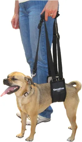 Dog Sling Support Harness, SM Female fits Small to Medium Size Pets 20-50 lbs. or Larger Barrel Chested Dogs Like Boxers or Bullies. Padded Rear Lifting Aid with Leash. Made in U.S.A.