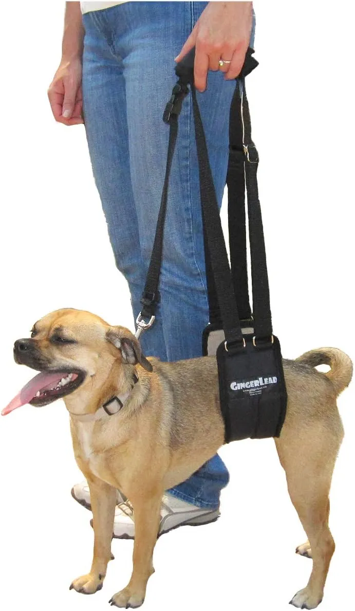 Dog Sling Support Harness, SM Female fits Small to Medium Size Pets 20-50 lbs. or Larger Barrel Chested Dogs Like Boxers or Bullies. Padded Rear Lifting Aid with Leash. Made in U.S.A.