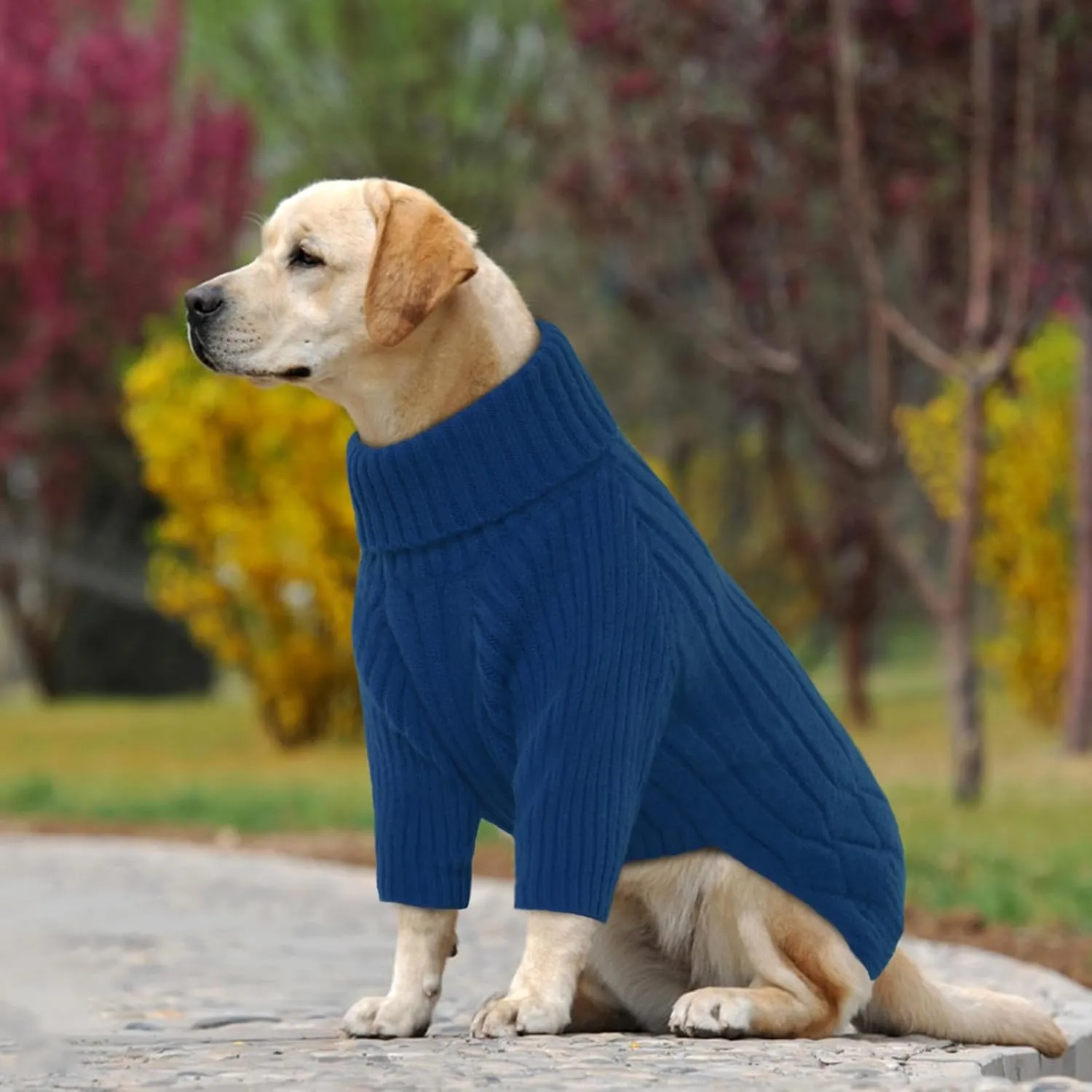 Dog Sweater for Medium Dogs, Warm Winter Fall Dog Sweaters for Dog Girls Boys, Turtleneck Dog Knitwear, Doggie Christmas Sweater, Pet Sweatshirt Clothes Knit French Bulldog, Beagle (Blue M)