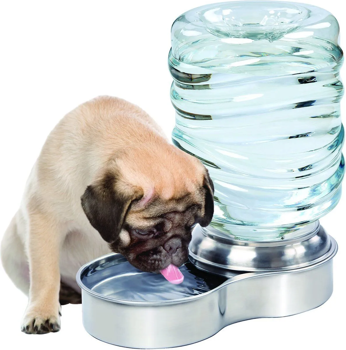 Etna Stainless Steel Pet Dog Cat Water Replenish Fountain Bowl, Holds 3 Liters