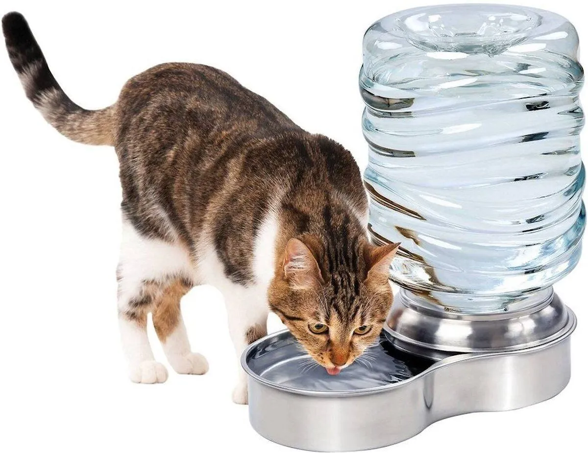 Etna Stainless Steel Pet Dog Cat Water Replenish Fountain Bowl, Holds 3 Liters