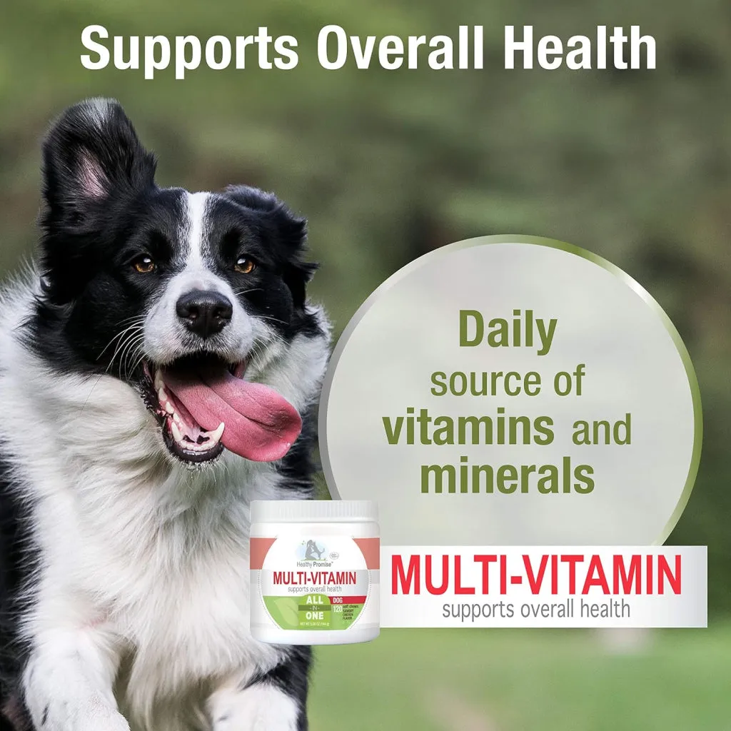 Four Paws Healthy Promise Multivitamin Soft Chews Supplement for Dogs