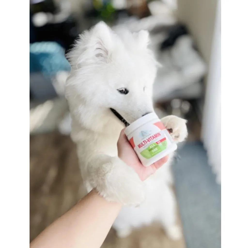 Four Paws Healthy Promise Multivitamin Soft Chews Supplement for Dogs