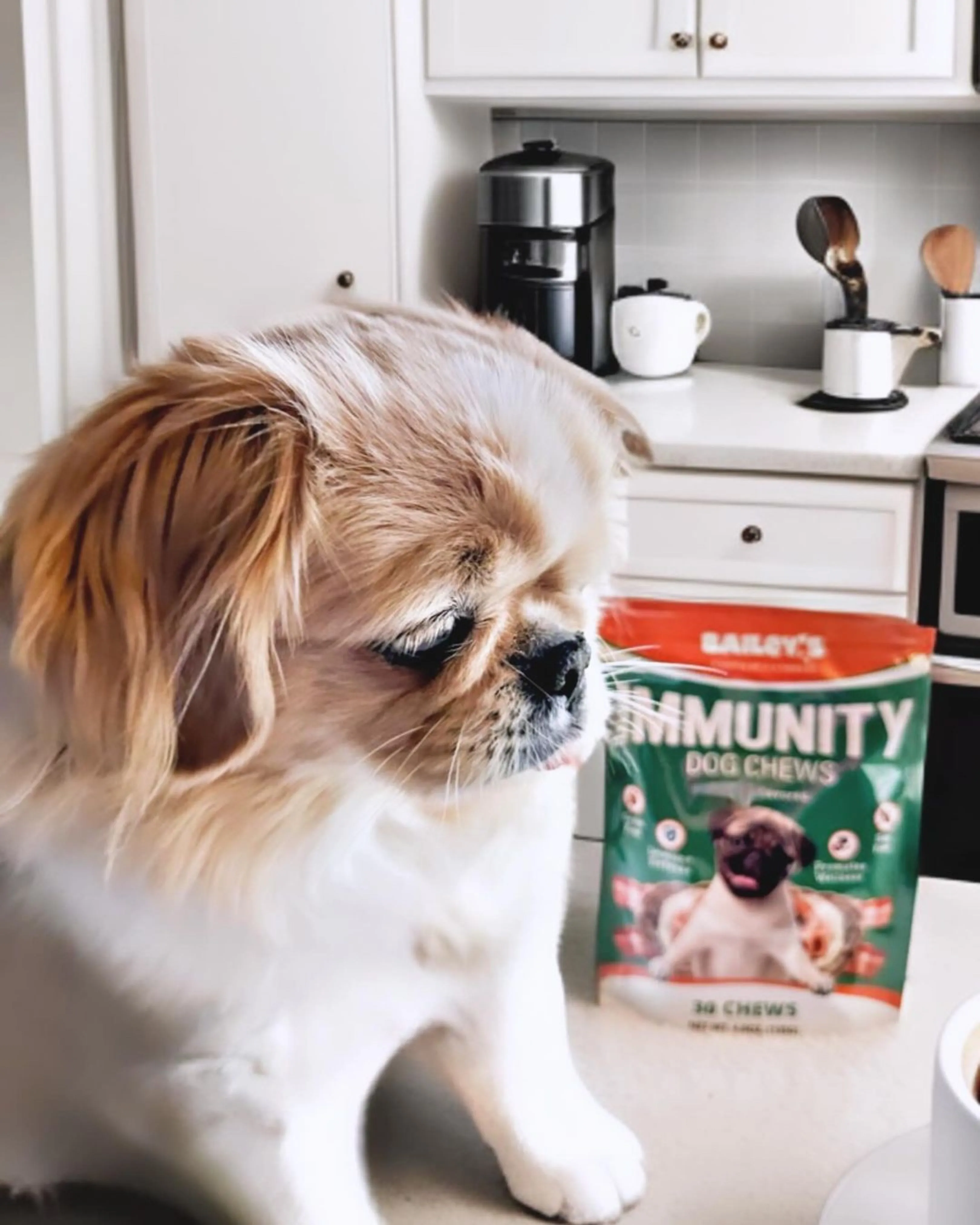 Immunity Dog Chews