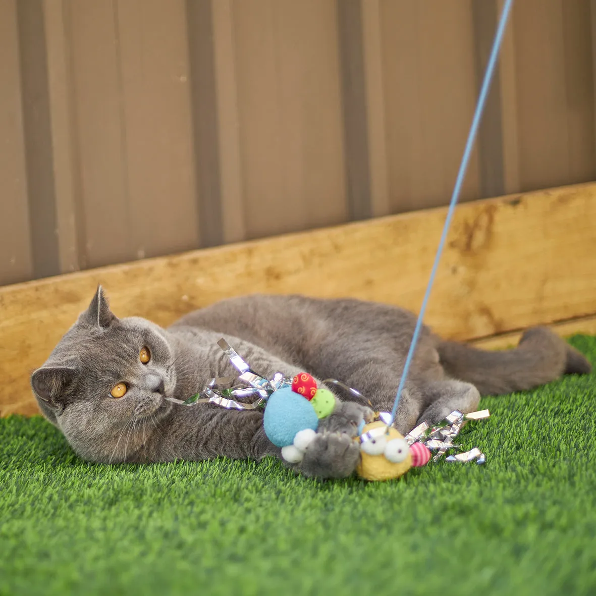 Kazoo Butterfly High Chase and Play Wand Cat Toy