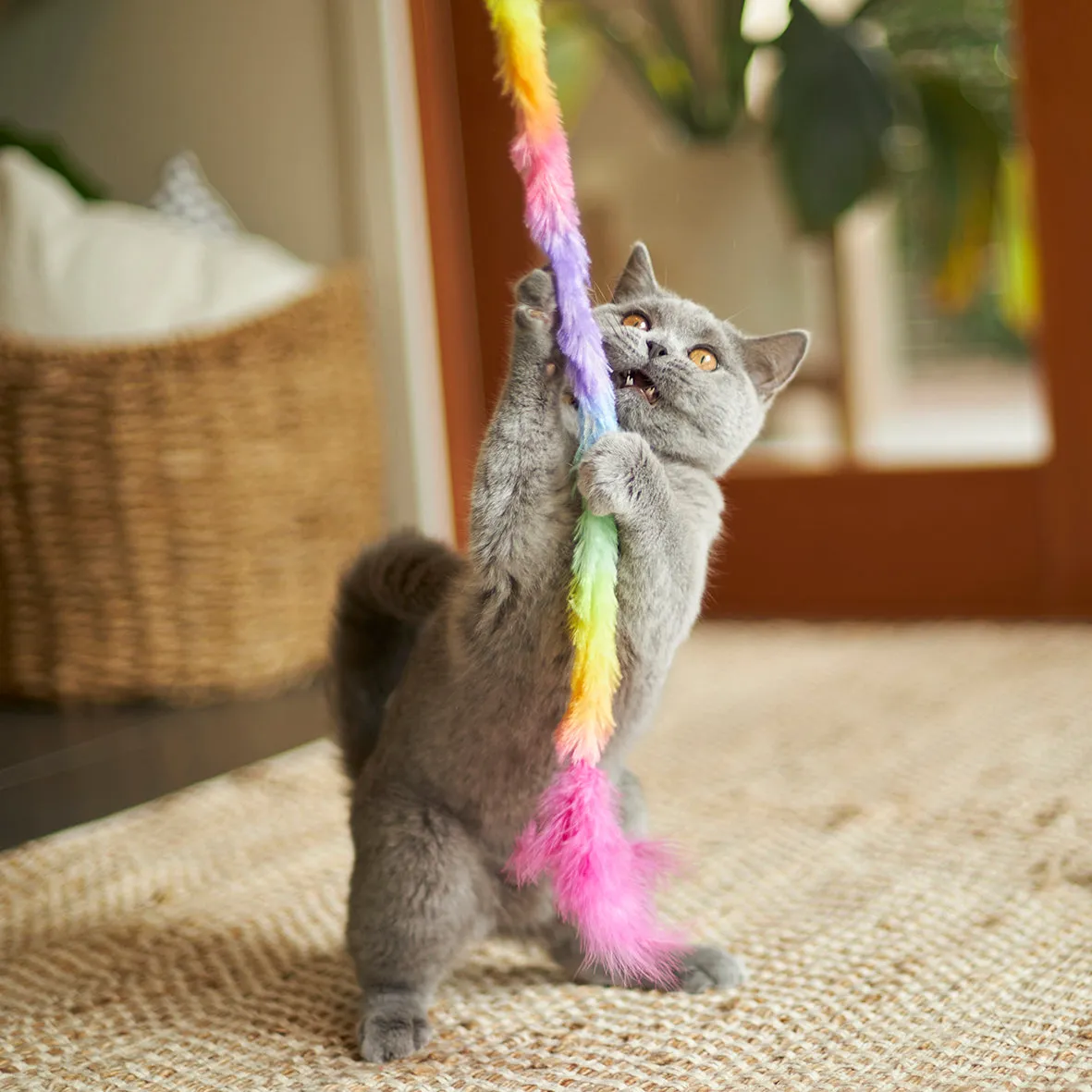 Kazoo Fluffy Rainbow Tail Wand Cat Toy