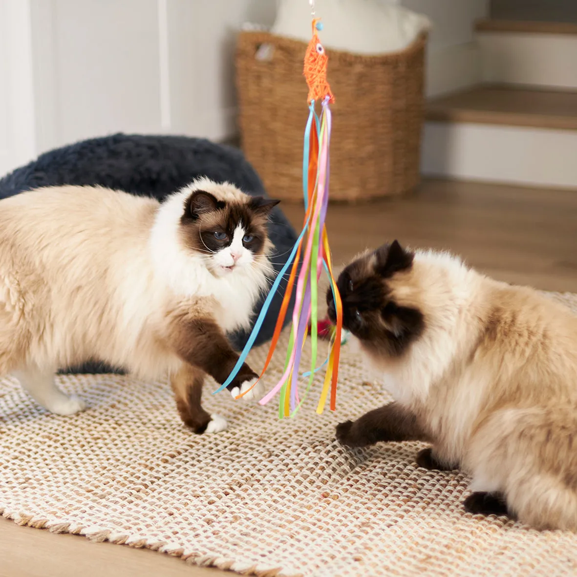 Kazoo Streamer Fish Play and Catch Wand Cat Toy^^^