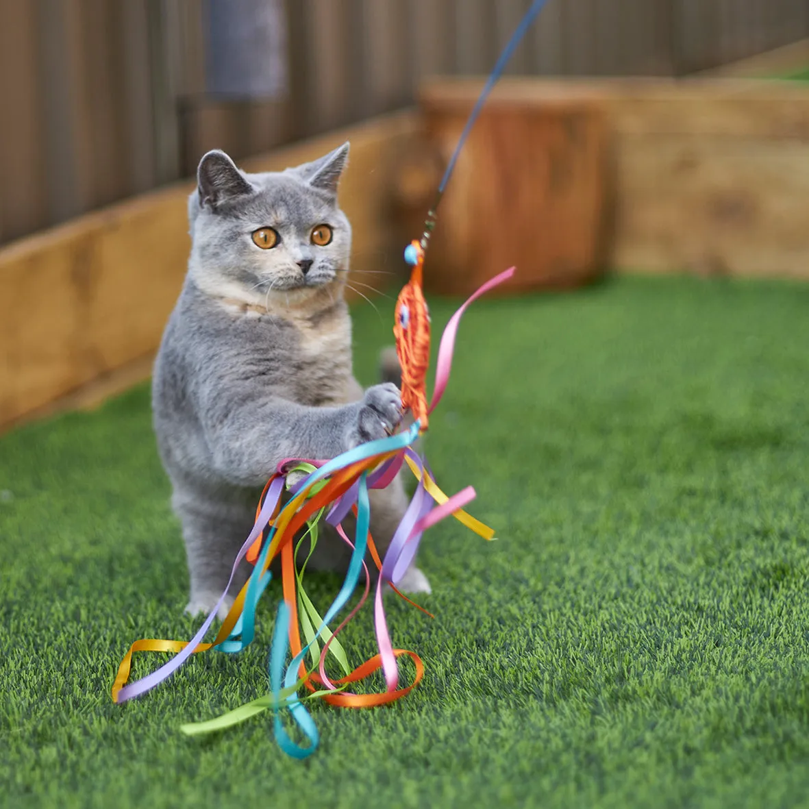 Kazoo Streamer Fish Play and Catch Wand Cat Toy^^^