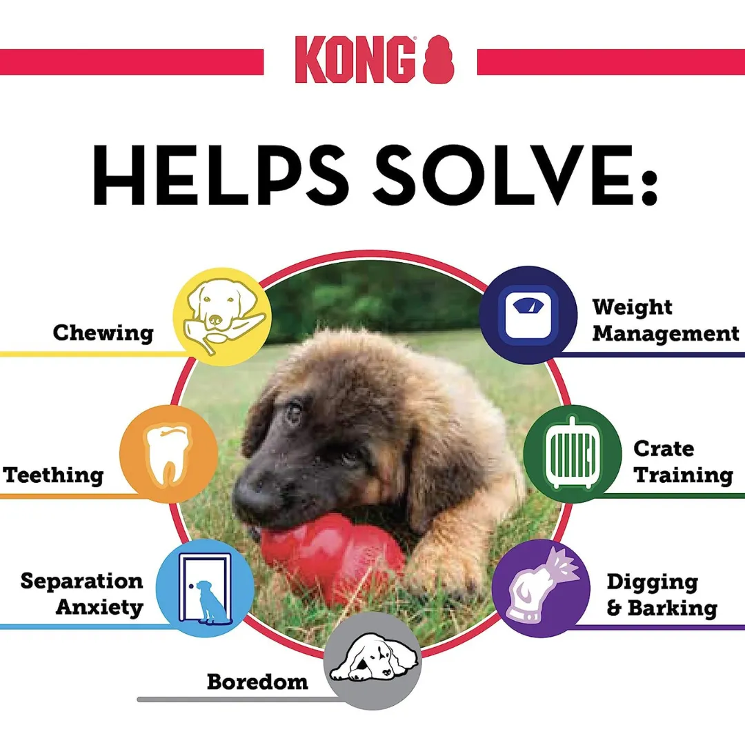 Kong  Extreme Black Dog Toy