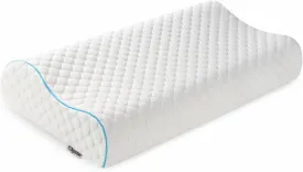 Memory Foam Pillow, Neck Bed Contour Pillow for Sleeping, Ergonomic Orthopedic Cervical Pillow for Side Back Stomach Sleeper, Queen,Firm,White