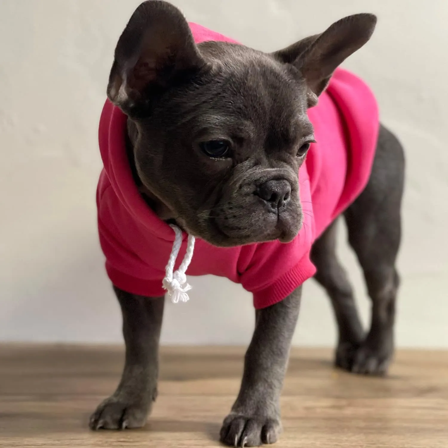 My Humans are Getting Married Annoucement Pullover Fleece Lined Dog Hoodie (Grey, Small 224)