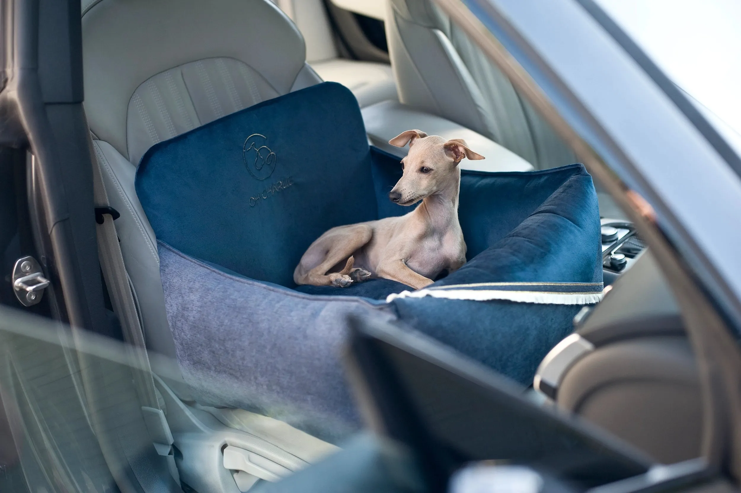 Oh Charlie Dog Car Seat Bed Allure