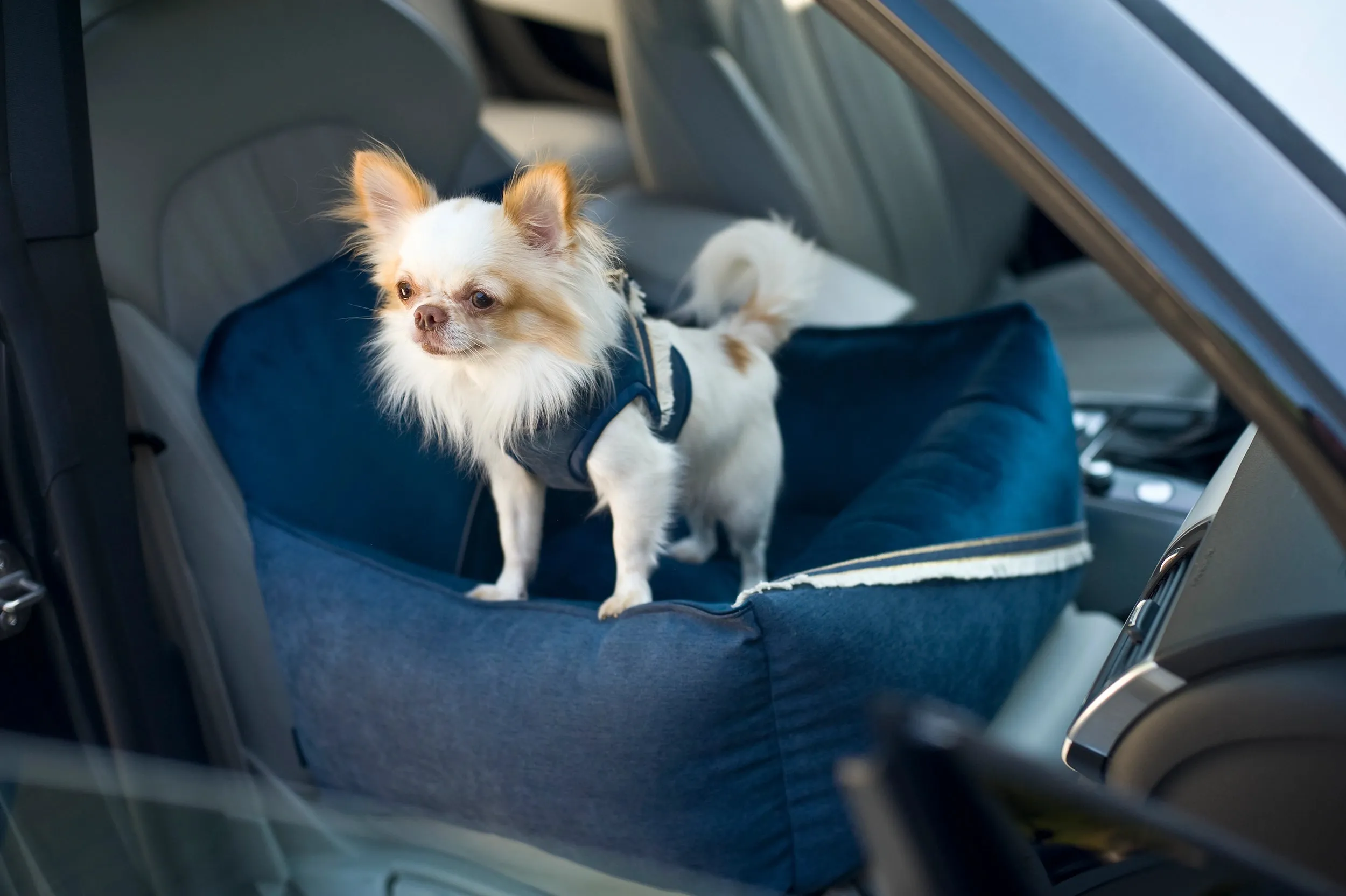 Oh Charlie Dog Car Seat Bed Allure