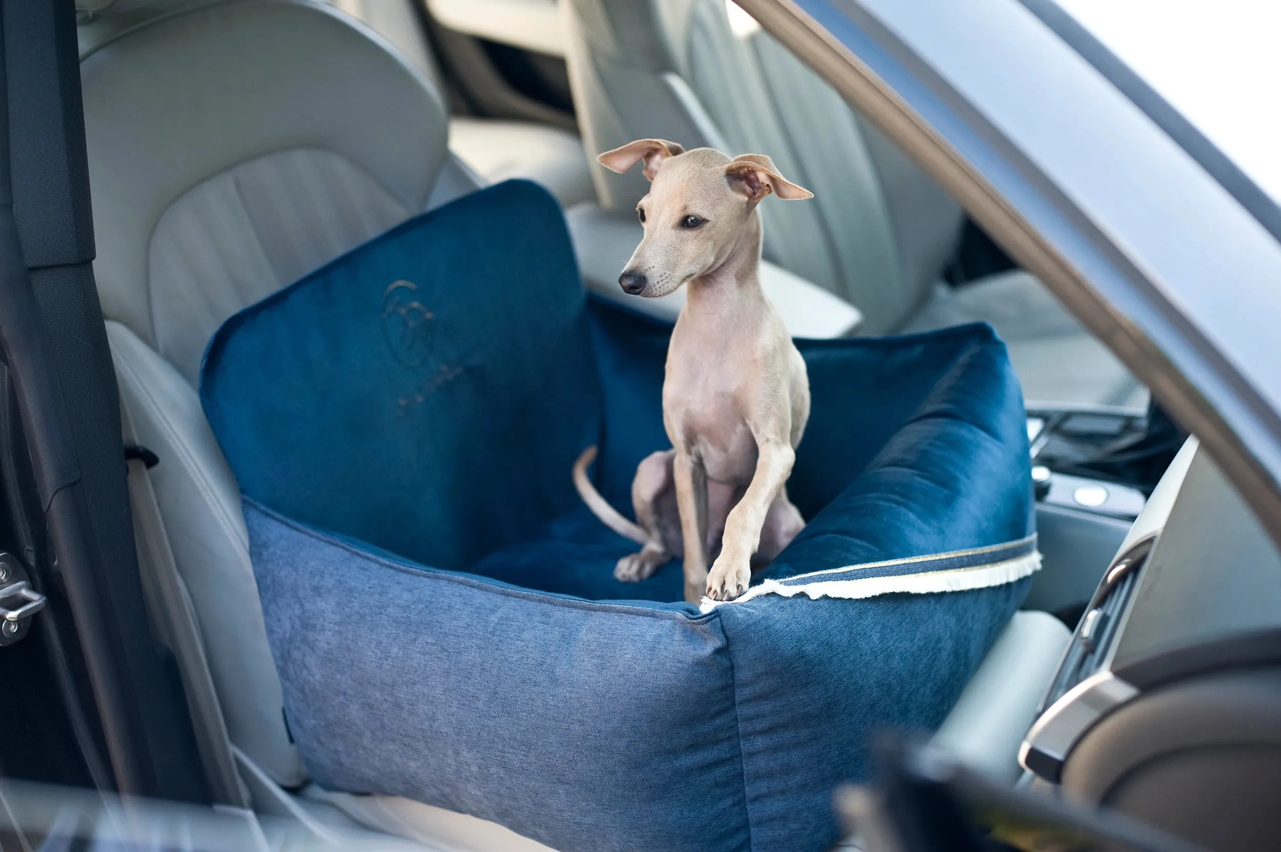 Oh Charlie Dog Car Seat Bed Allure