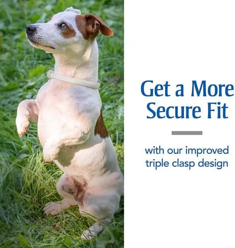 PetArmor® Plus Flea & Tick Collar for Dogs