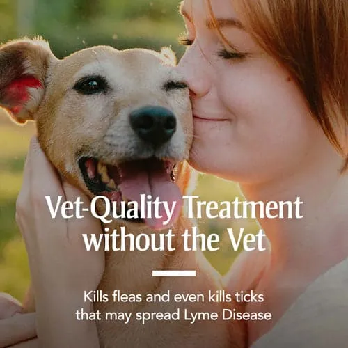PetArmor® Plus Flea & Tick Collar for Dogs